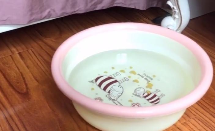 室內放水除甲醛